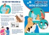 Bệnh dại, những điều cần biết