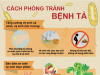 Tuyên truyền phòng bệnh tả