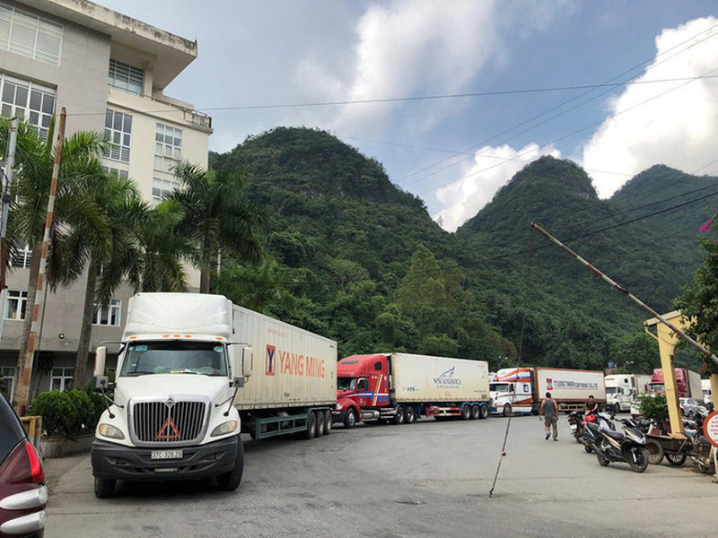 Ảnh minh họa. Nguồn: Internet