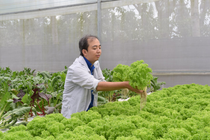 Sử dụng thực phẩm sạch, đảm bảo an toàn cho bữa ăn gia đình.