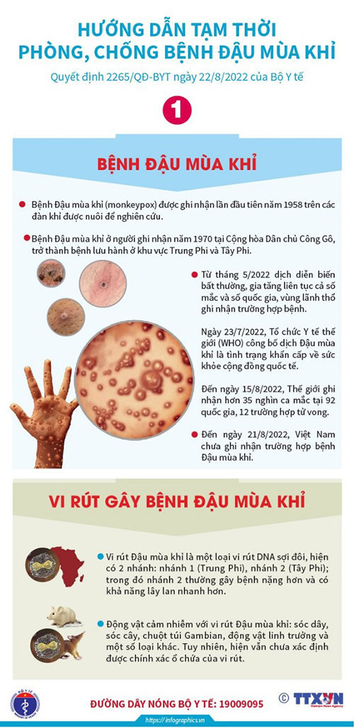 Hướng dẫn tạm thời phòng, chống bệnh đậu mùa khỉ