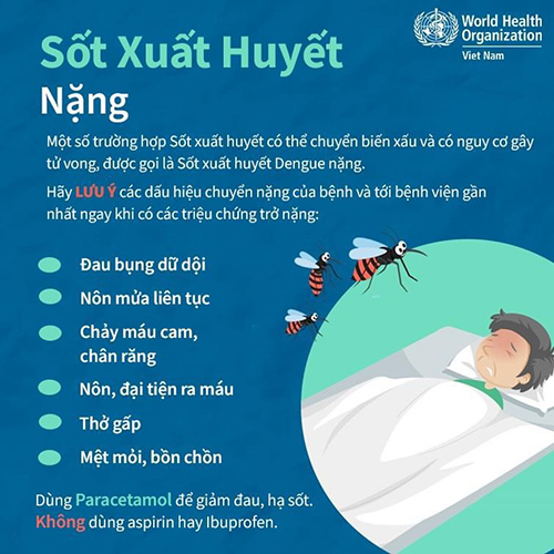 phong benh sot xuat huyet 3