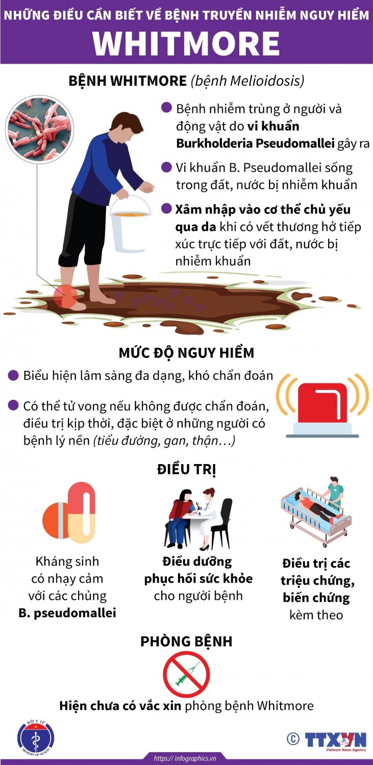 Những điều cần biết về bệnh truyền nhiễm nguy hiểm Whitmore