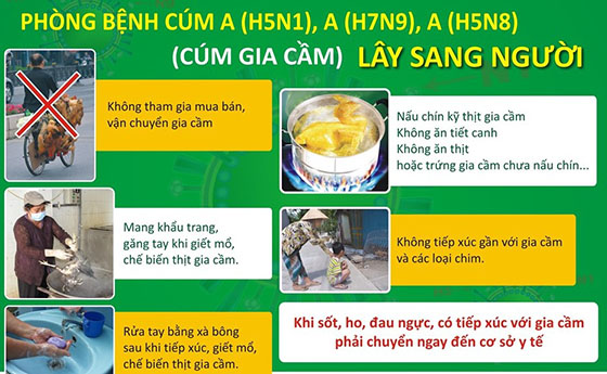 Các biện pháp phòng bệnh cúm A. Ảnh minh họa