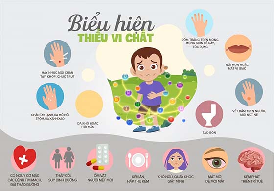 vi chat dinh duong 3