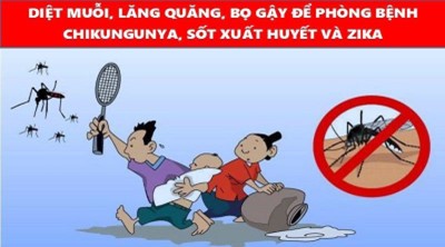 Bệnh truyền nhiễm Chikungunya 2