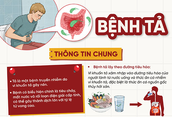 Infographic bệnh tả