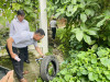 Cần Thơ: Thực hiện Chiến dịch diệt lăng quăng kết hợp phun hóa chất diệt muỗi trong phòng, chống dịch sốt xuất huyết và Zika từ tháng 9 đến tháng 11 năm 2026