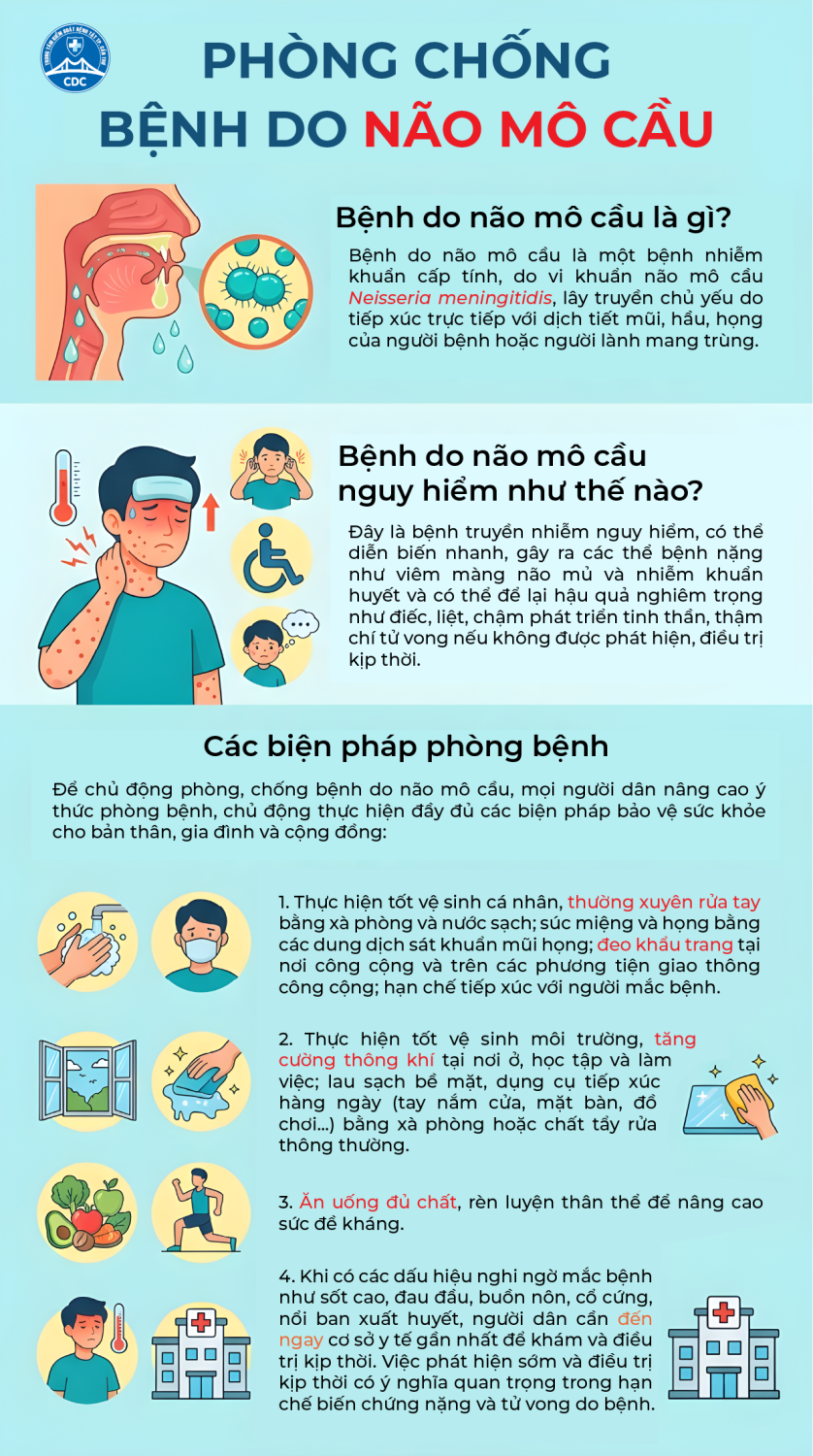 Tờ rơi: Phòng chống bệnh do não mô cầu